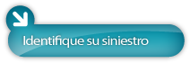 Identifique sus siniestro